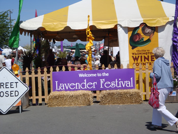 Lavender Festival